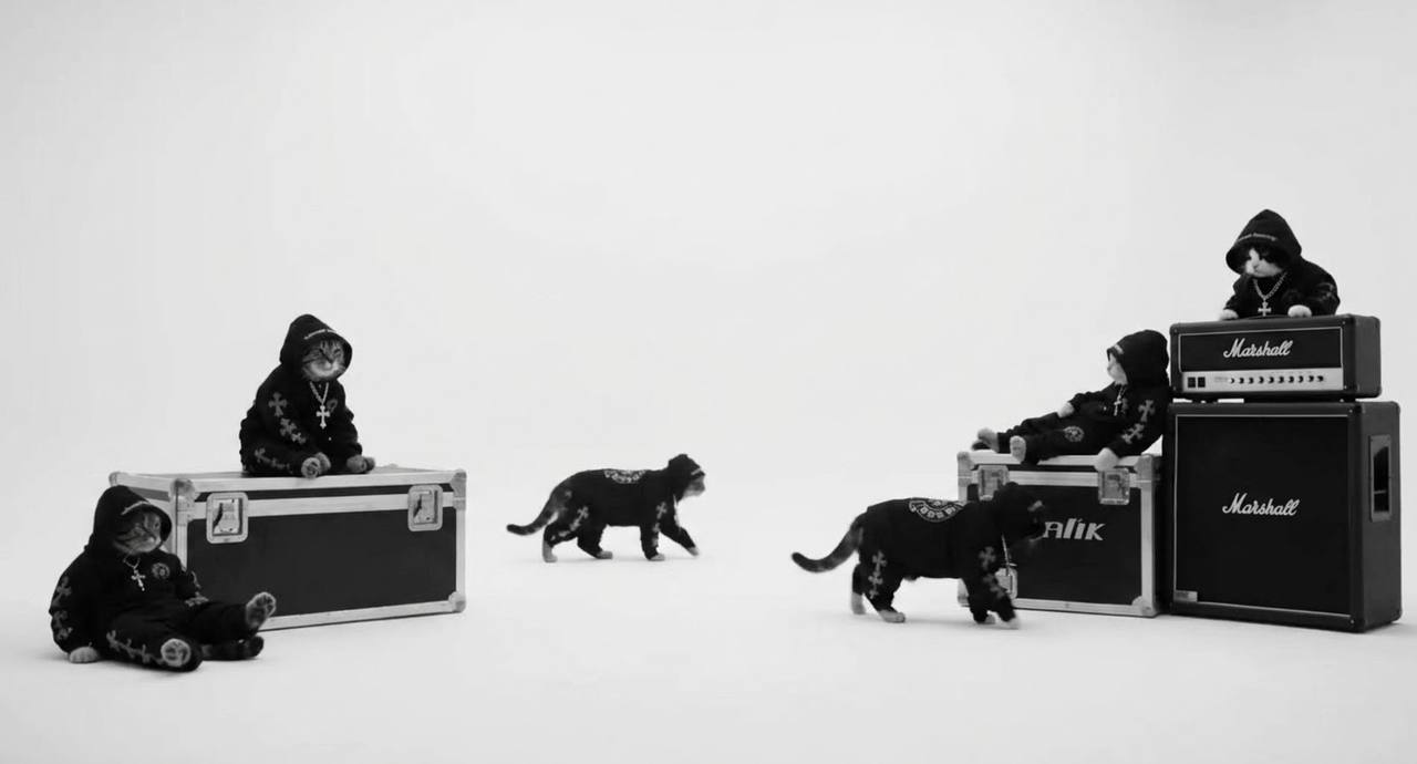 Cats in cross-print hoodies lounging on flight cases and amplifiers