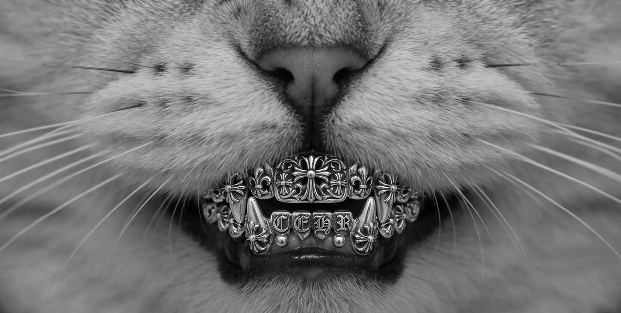 Cat wearing an ornate silver cross grill
